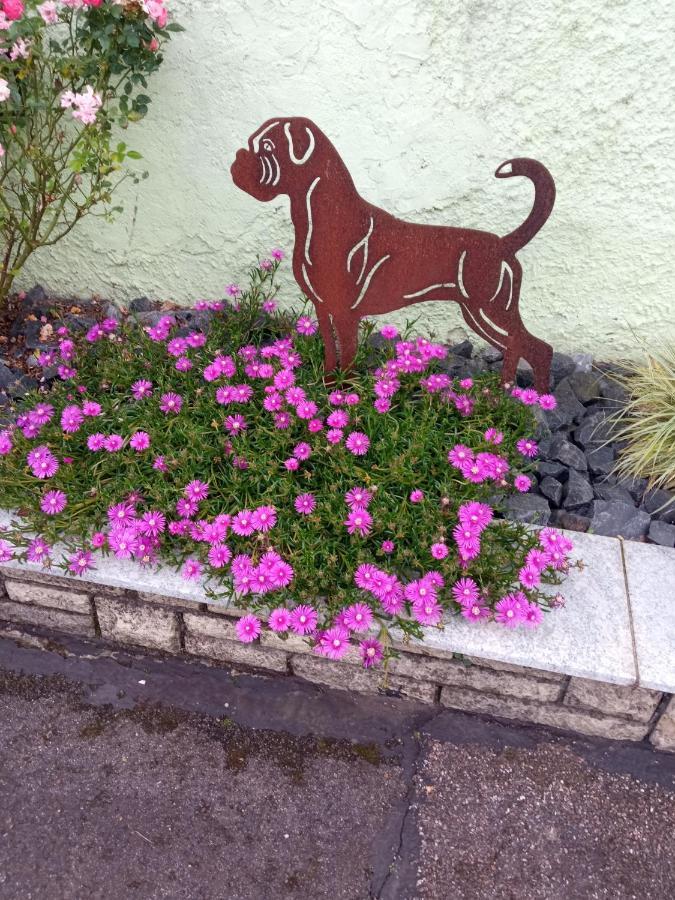 Ferienwohnung Am Kocher-Jagst Radweg Neuenstadt am Kocher Exteriör bild